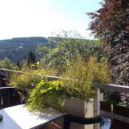 Willa Residenz Bocksberg-Blick & St. Florian Goslar Zewnętrze zdjęcie